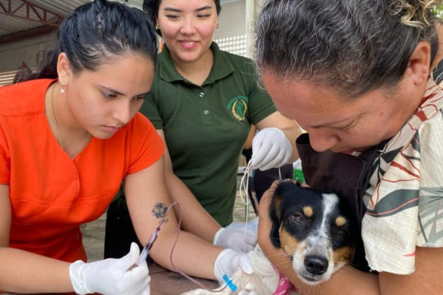 CCZ realiza ação de vacina antirrábica e testes de leishmaniose em Marabá