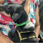 Idoso é preso em flagrante por abusar sexualmente de cadela em Parauapebas