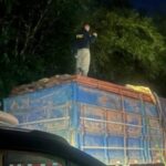 PRF apreende 42 m³ de madeira ilegal em Bom Jesus do Tocantins