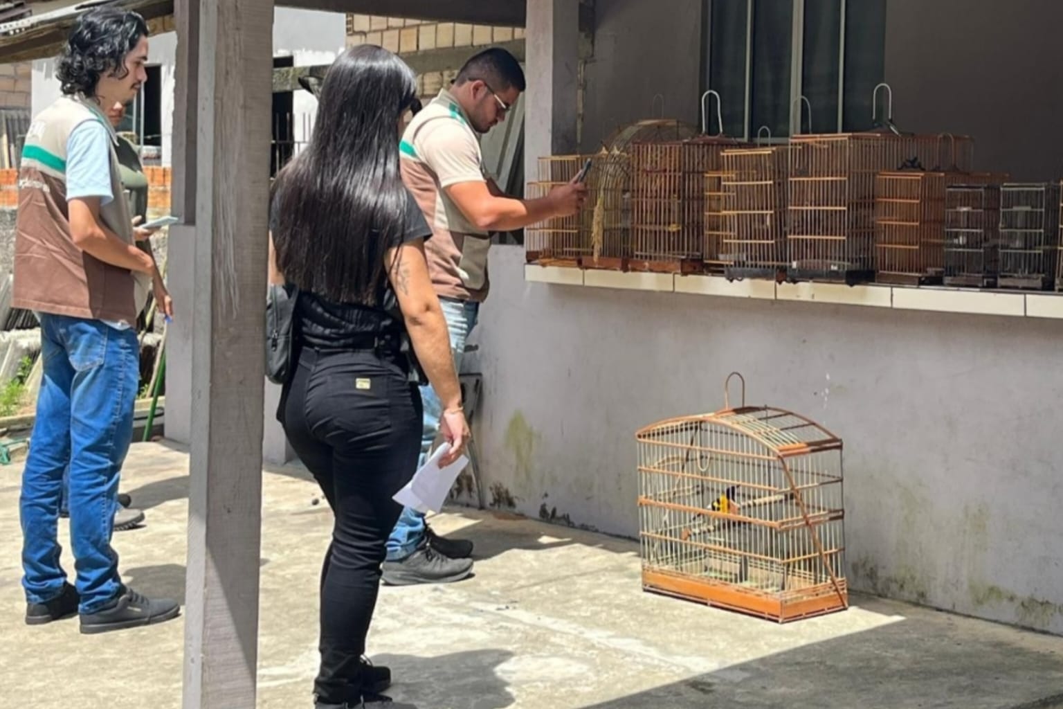 Suspeito de manter aves silvestres em cativeiro é preso em Capanema