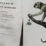Livro furtado de museu paraense, recuperado em Londres, é avaliado em mais de R$ 90 mil