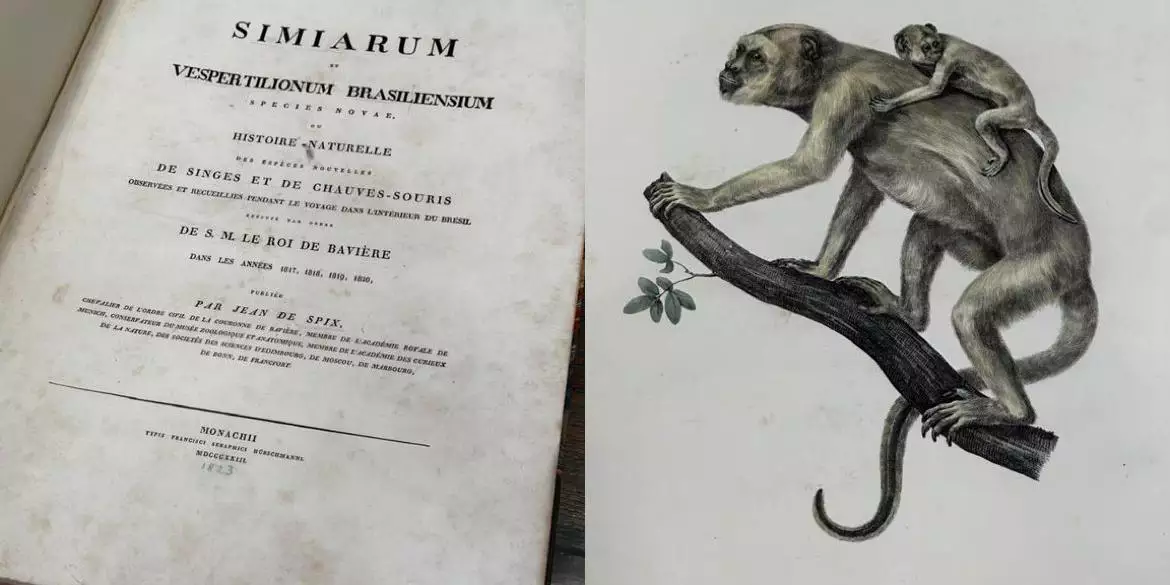 Livro furtado de museu paraense, recuperado em Londres, é avaliado em mais de R$ 90 mil