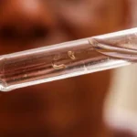 Pará registra a quarta morte por dengue em 2024