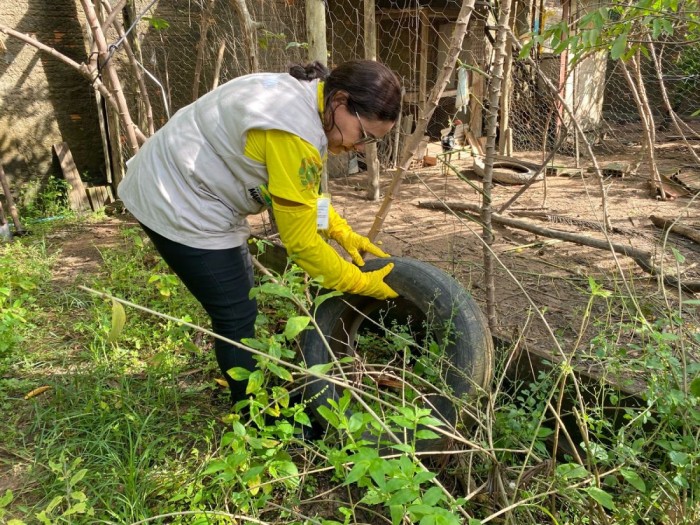 Marabá registra primeira morte por dengue em 2024