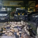 Mais de 300 kg de maconha escondidos em fundo falso de caminhão em Marabá