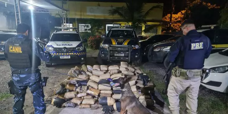 Mais de 300 kg de maconha escondidos em fundo falso de caminhão em Marabá