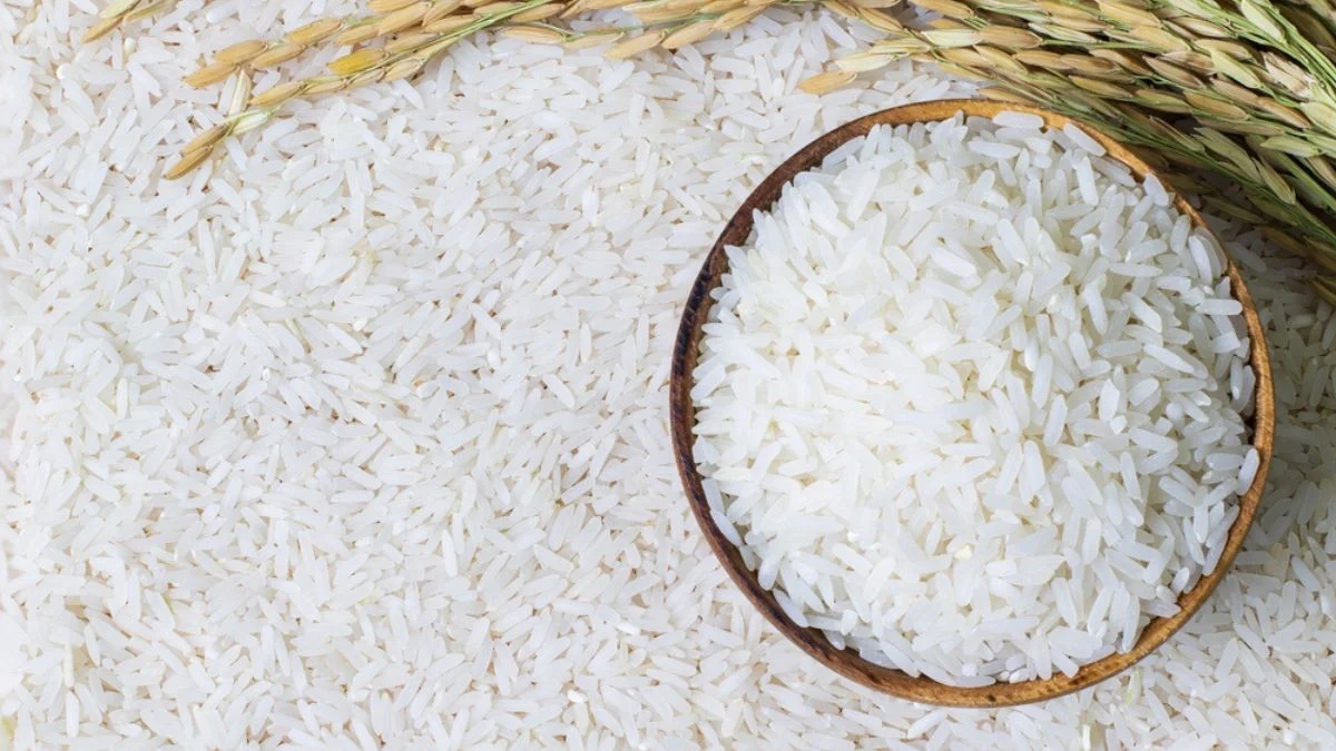 Pará será um dos primeiros estados a receber arroz importado; preço deve ser de no máximo R$ 4 o quilo