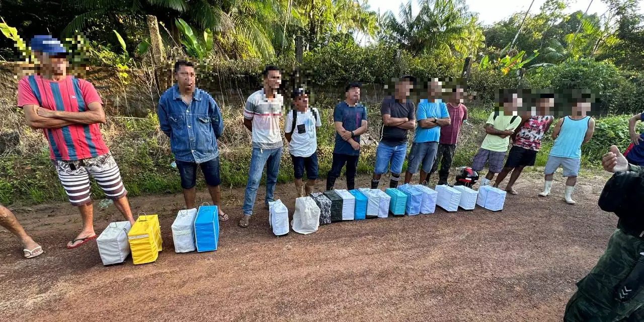 16 pessoas são detidas por comércio ilegal de aves silvestres no Pará