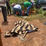 Adolescente atropela e mata duas pessoas no oeste do Pará