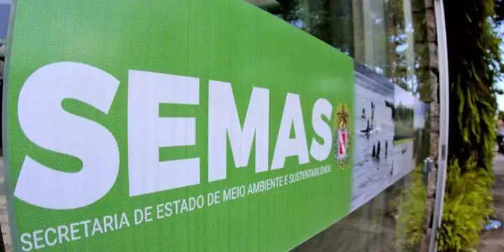Número de animais resgatados cresce 200% em um ano no Pará