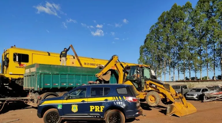 PRF apreende em Tocantins madeira que saiu do Pará e pode ser de árvore ameaçada de extinção