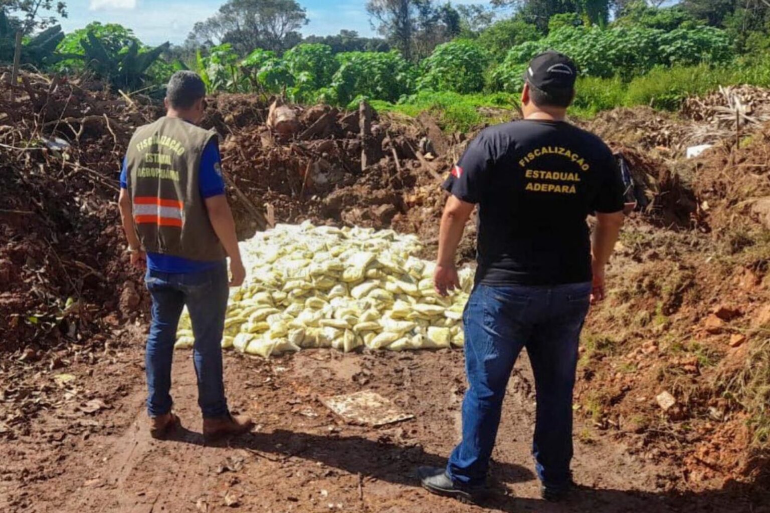 Adepará apreende mais de uma tonelada de polpa de cupuaçu clandestina