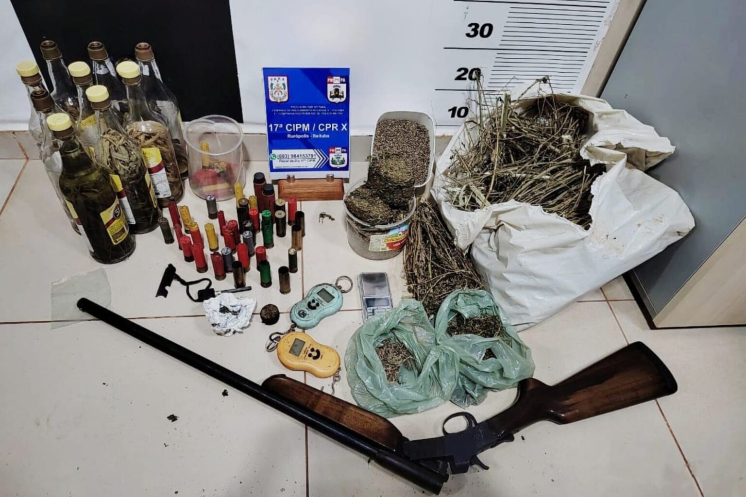 Homem é preso após denúncia de plantação de maconha no oeste do Pará