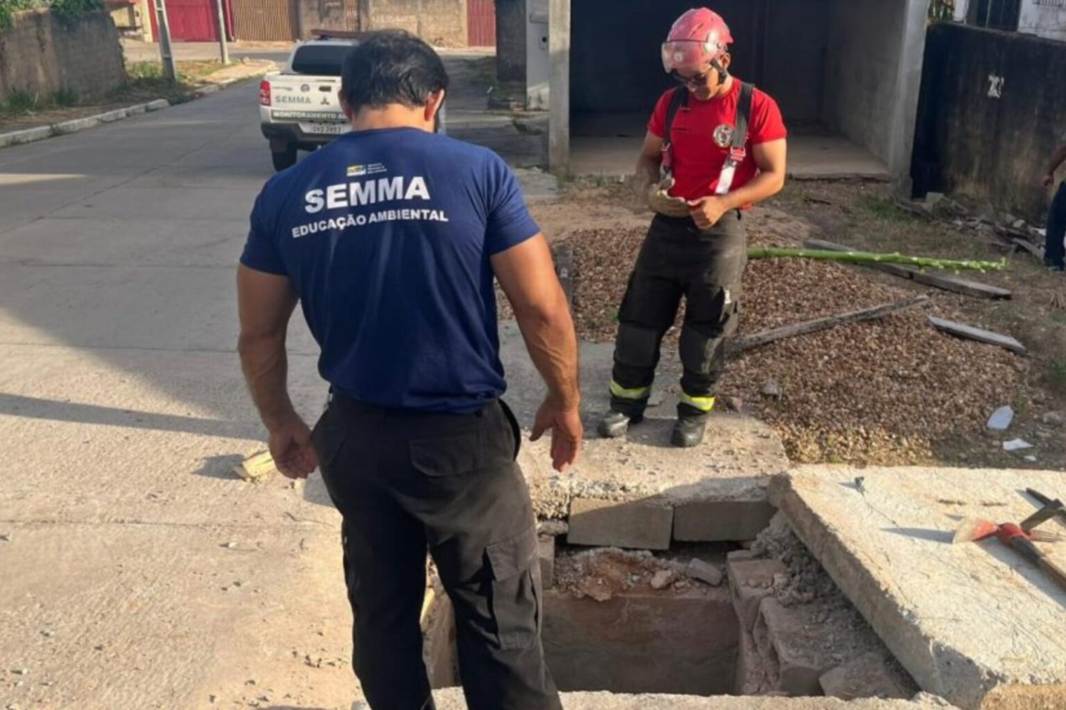Três filhotes de gatos são resgatados de bueiro em Marabá