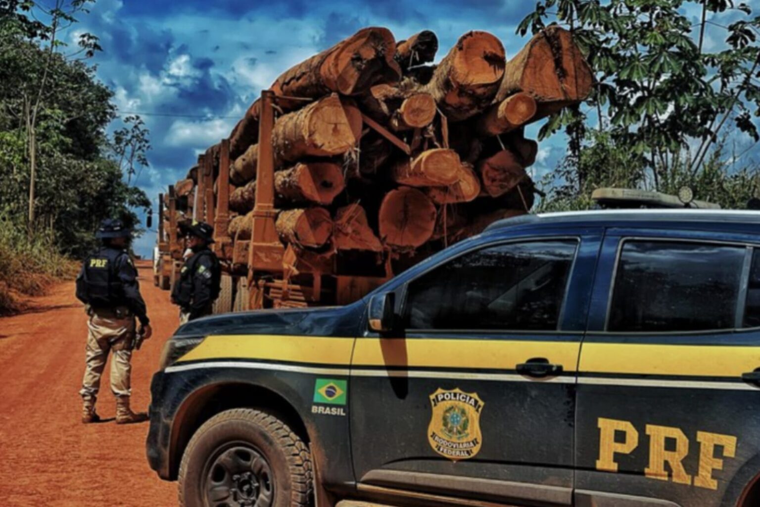PRF apreende 15 veículos e 331 m³ de madeira em Dom Eliseu