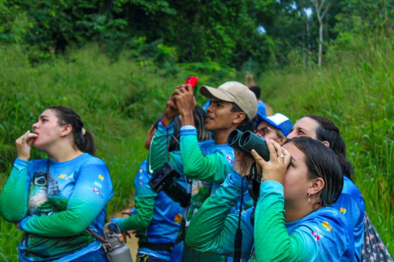 Pará é destaque em e-book da Embratur sobre atividade de observação de aves
