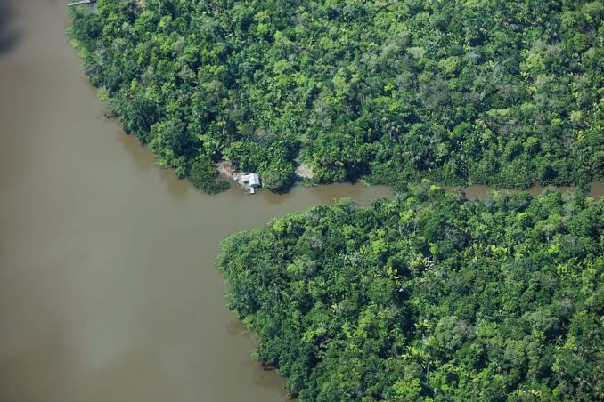 Pará tem queda de 29% no desmatamento em maio