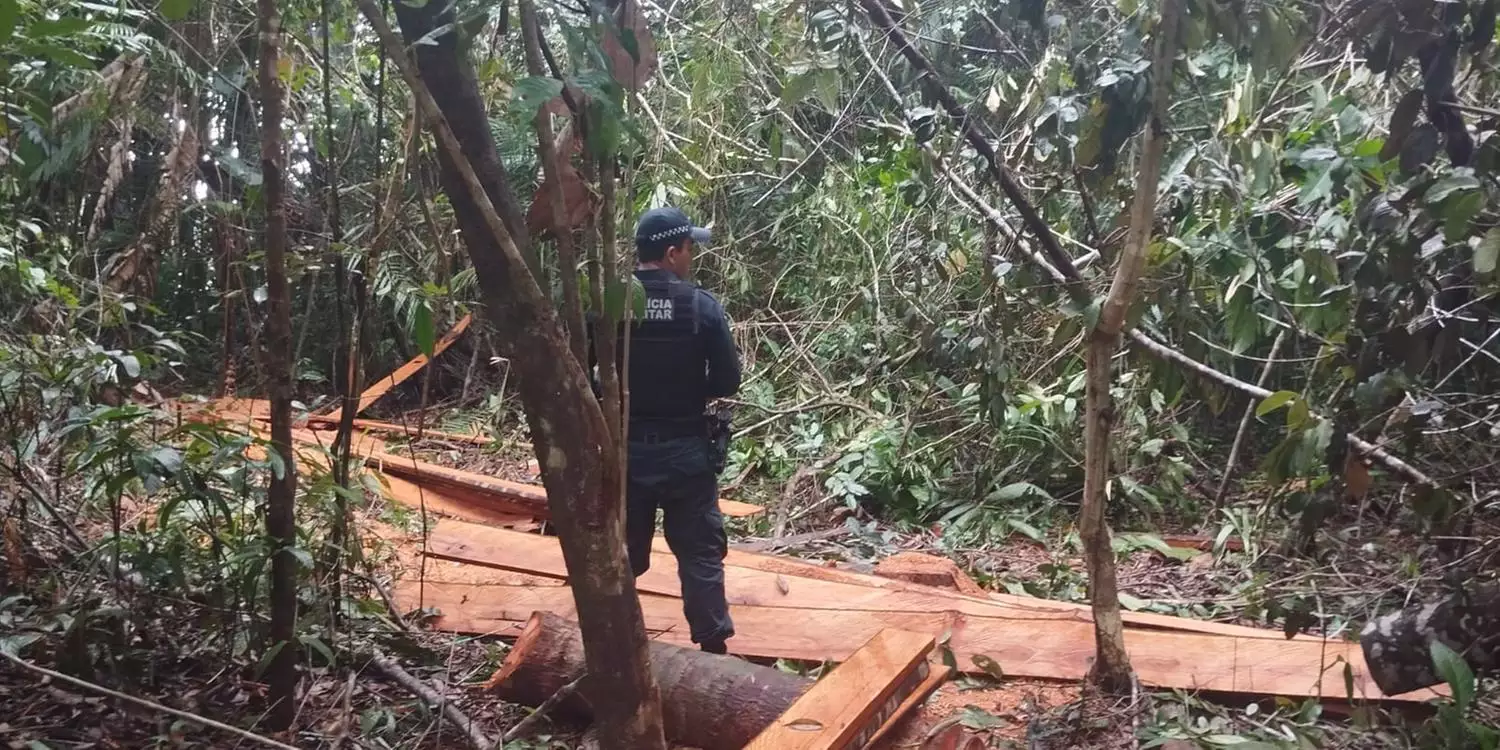 Polícia investiga desmatamento de área de preservação ambiental no Pará