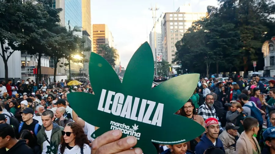 Ipea: 42 mil não estariam presos se limite de porte de maconha fosse de 25g