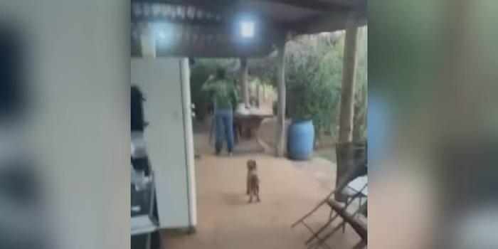 Tio troca tiros com familiares durante briga por herança