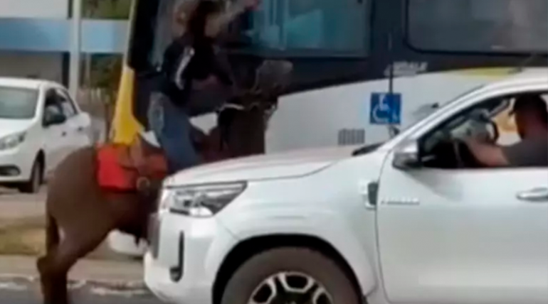 VÍDEO: Briga de trânsito entre motorista de ônibus e homem a cavalo viraliza