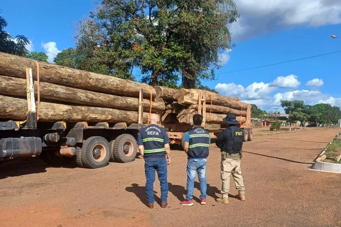 Equipes da Sefa e PRF apreendem mais de 36 toneladas de madeira em tora, em Dom Eliseu