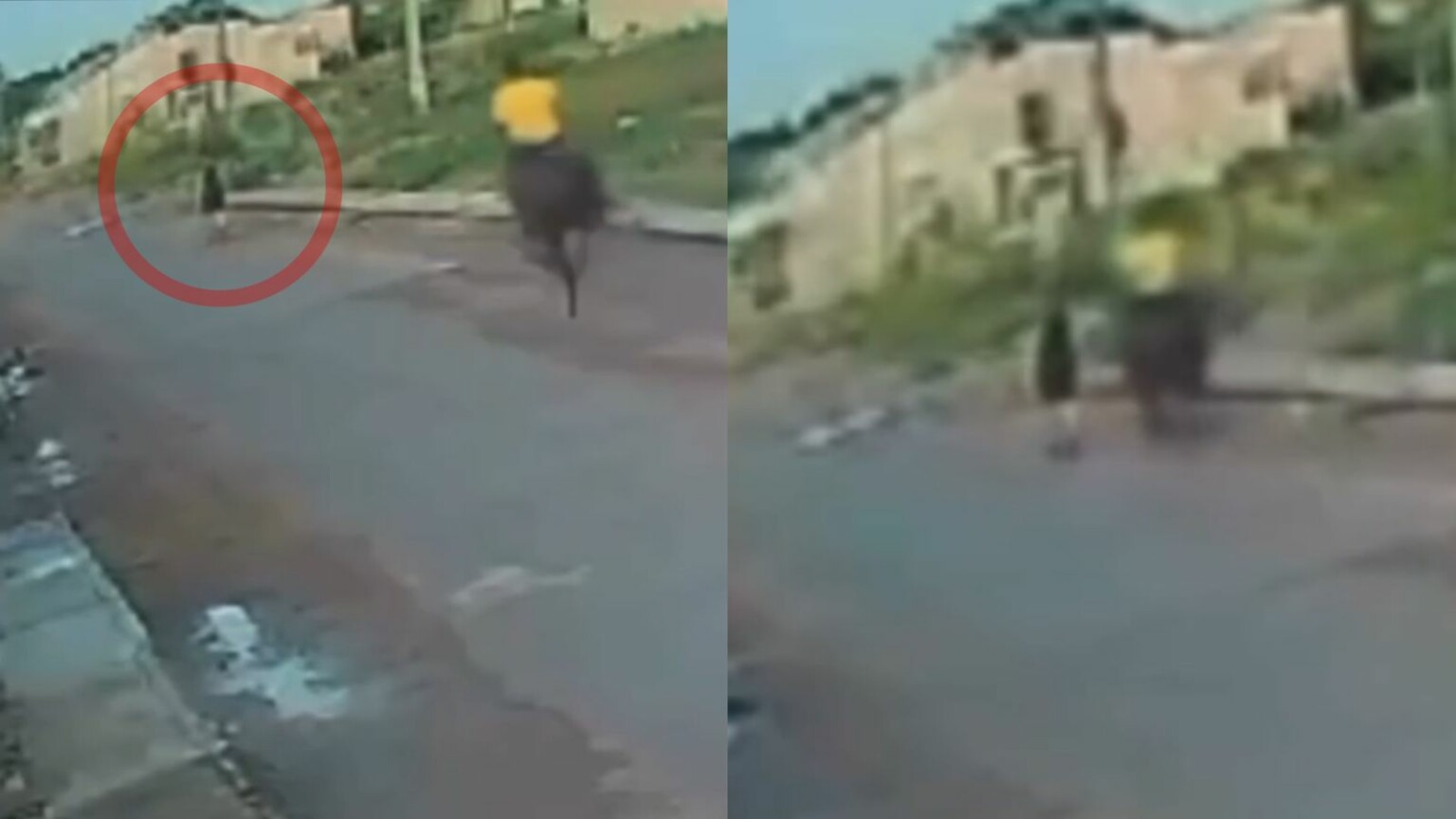 Vídeo: mulher é atropelada por cavalo no Pará