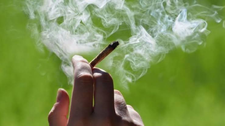 STF tem 8 votos a 3 para descriminalizar porte de maconha para uso pessoal