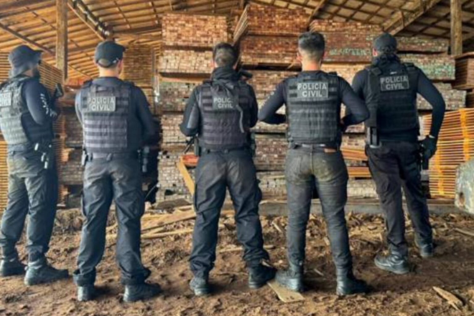 PC prende homem por tráfico de madeira ilegal no Marajó