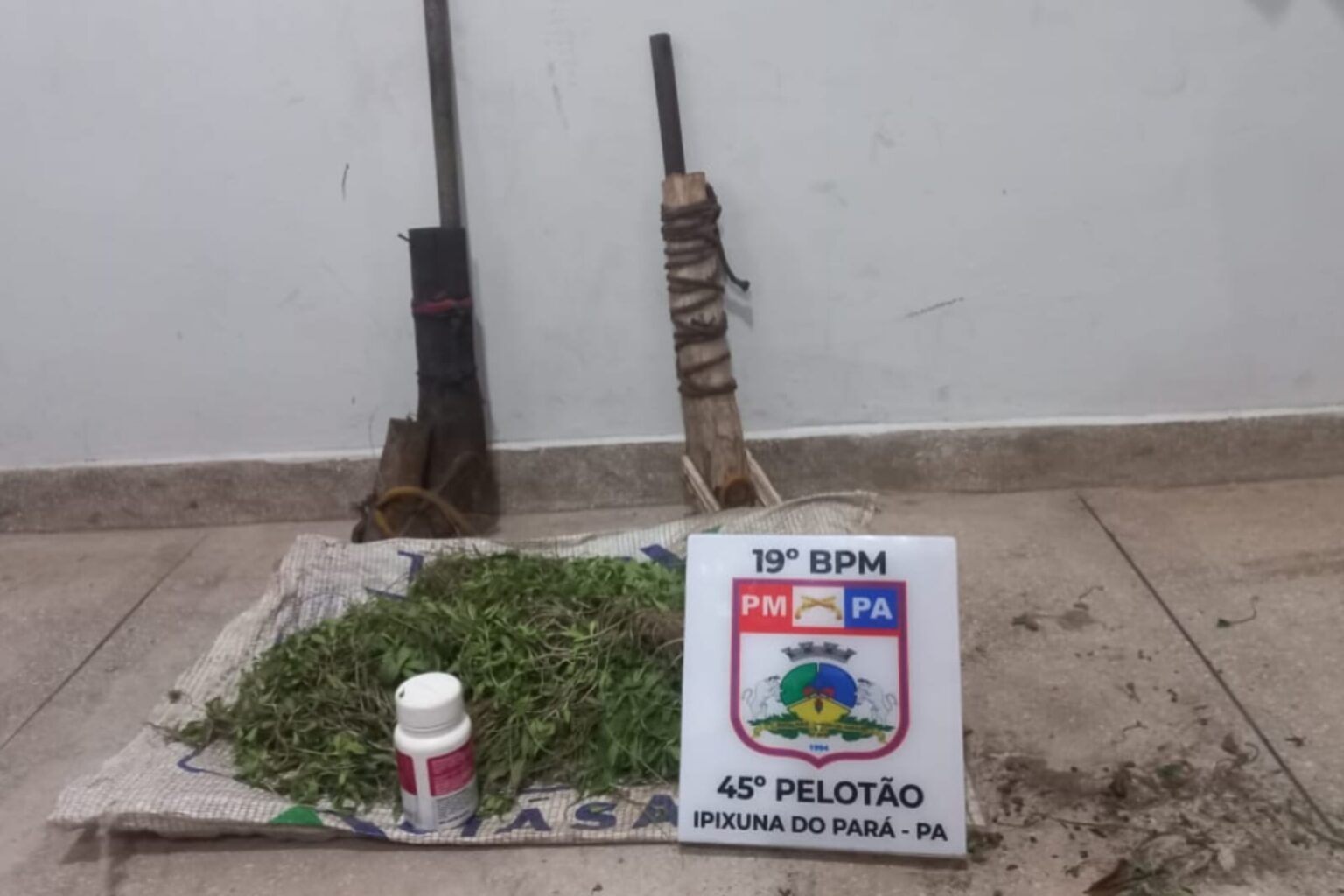 PMs prendem criminoso e destroem plantação de maconha em Nova Ipixuna