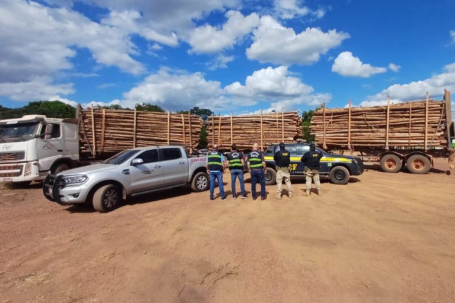 PRF apreende 89 m³ de madeira ilegal em Dom Eliseu