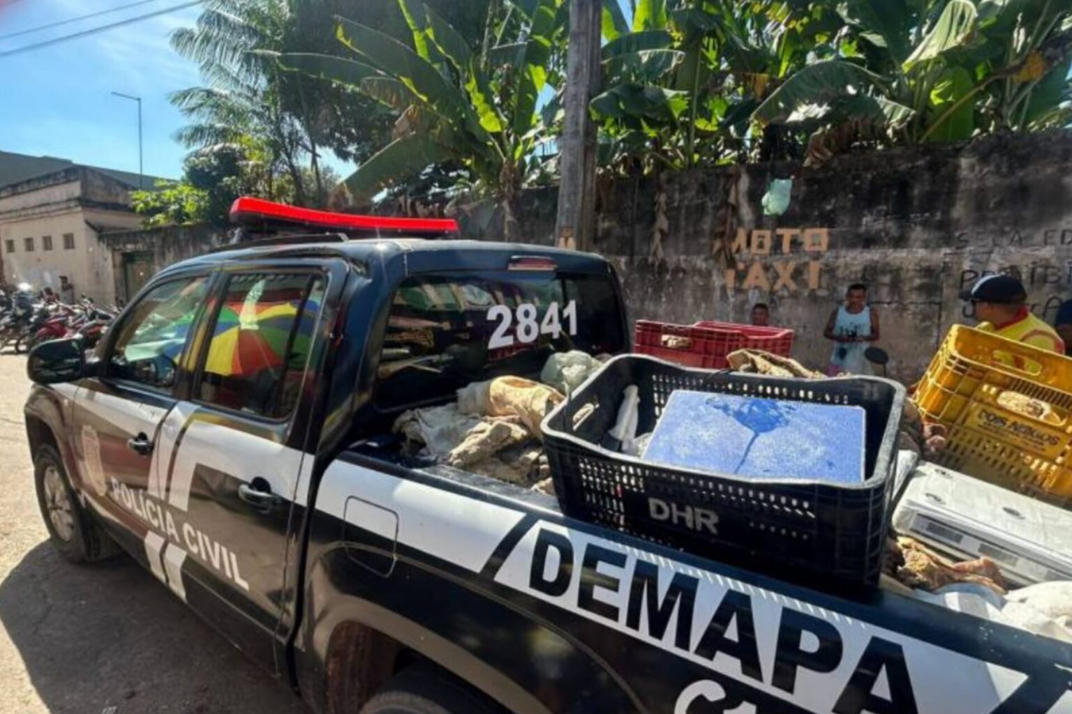 Polícia Civil apreende 5 toneladas de carnes de animais silvestres no Pará