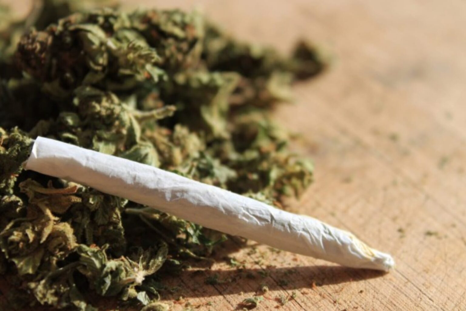 Entenda a decisão do STF sobre descriminalização do porte de maconha