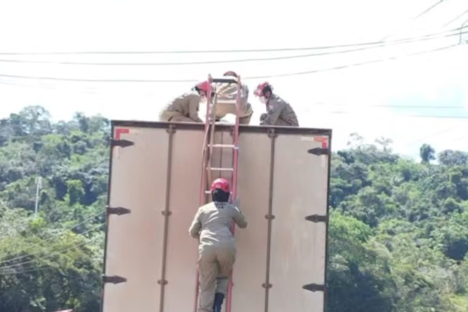 Motorista morre eletrocutado em Santarém