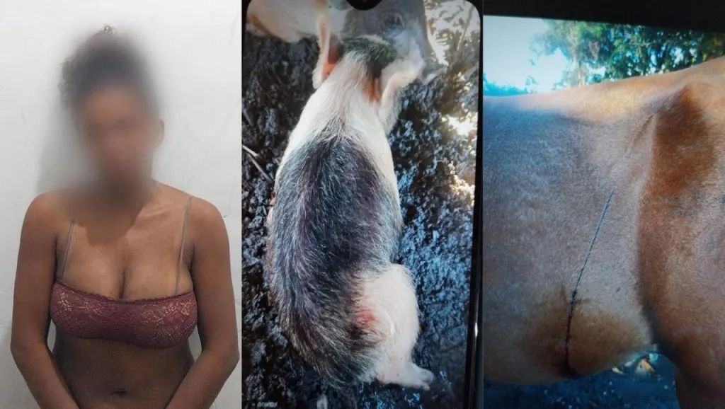 Mulher é presa após tentar matar os próprios filhos e ferir animais no Pará