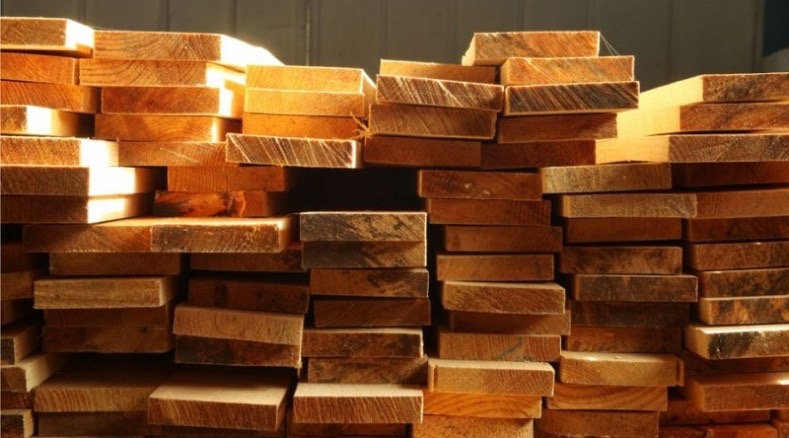 Exportações de madeira do Pará caem 16,4% e revelam desafios econômicos no setor