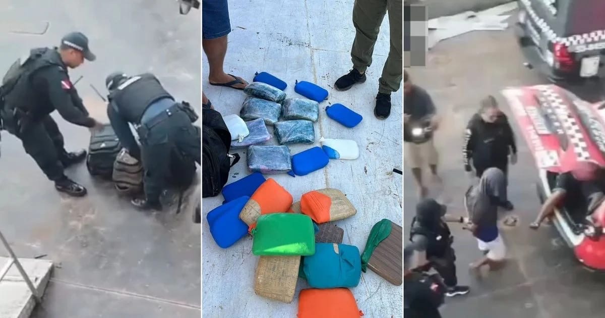 Polícia Civil apreende 25 tabletes de drogas no oeste do Pará