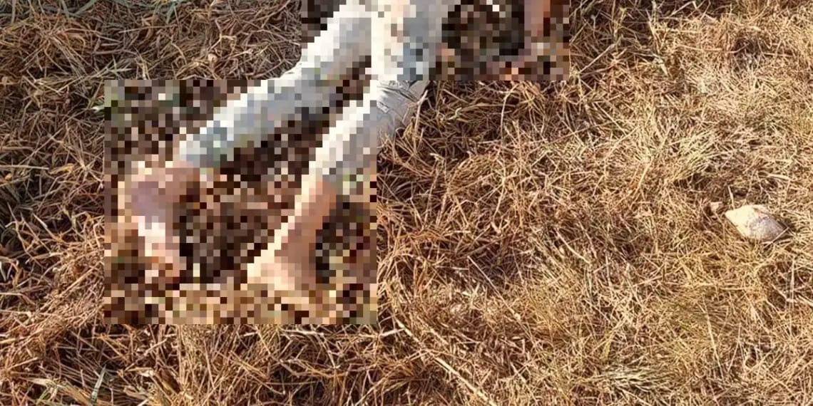 Suspeito de integrar facção criminosa é encontrado morto em beira de estrada no Pará
