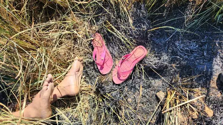 Preso companheiro de mulher encontrada carbonizada em Tucumã