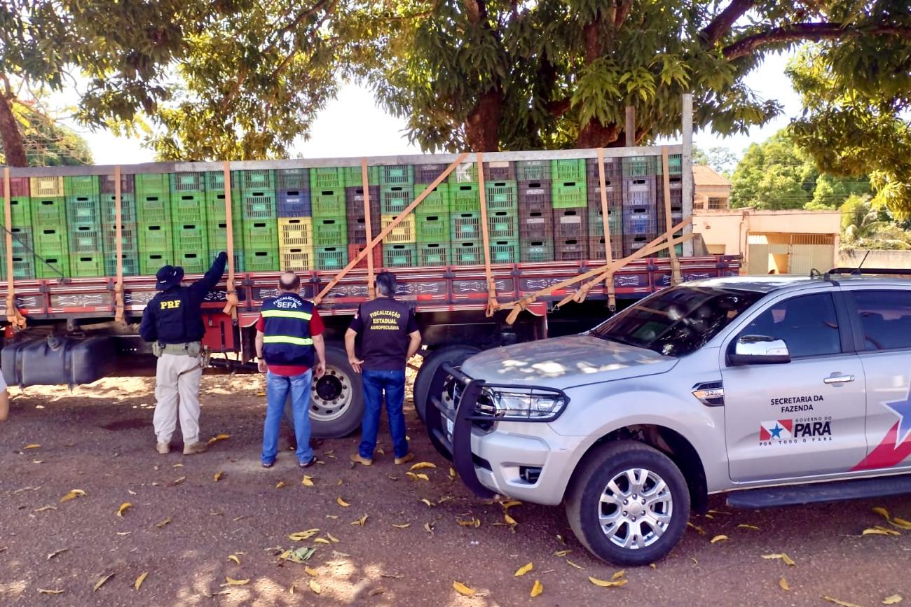 Sefa apreende 11 toneladas de açaí in natura no sudeste do Pará