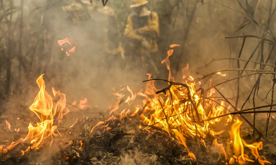 Marina Silva diz que PF investiga focos de incêndio no Pantanal