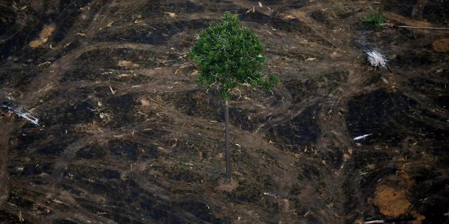 Estudo da Nasa diz que Amazônia pode sumir com o calor extremo