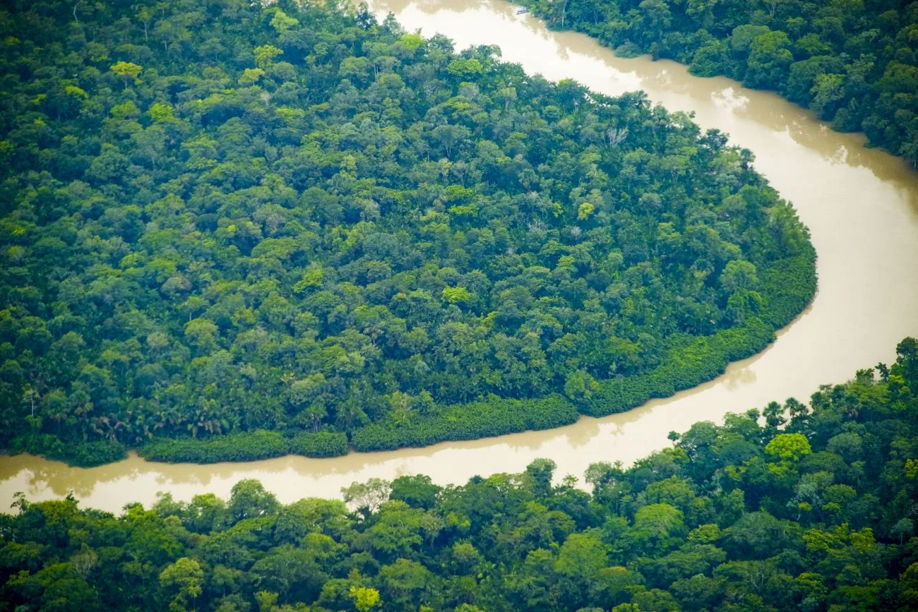 Pará possui plano para recuperar vegetação nativa degradada