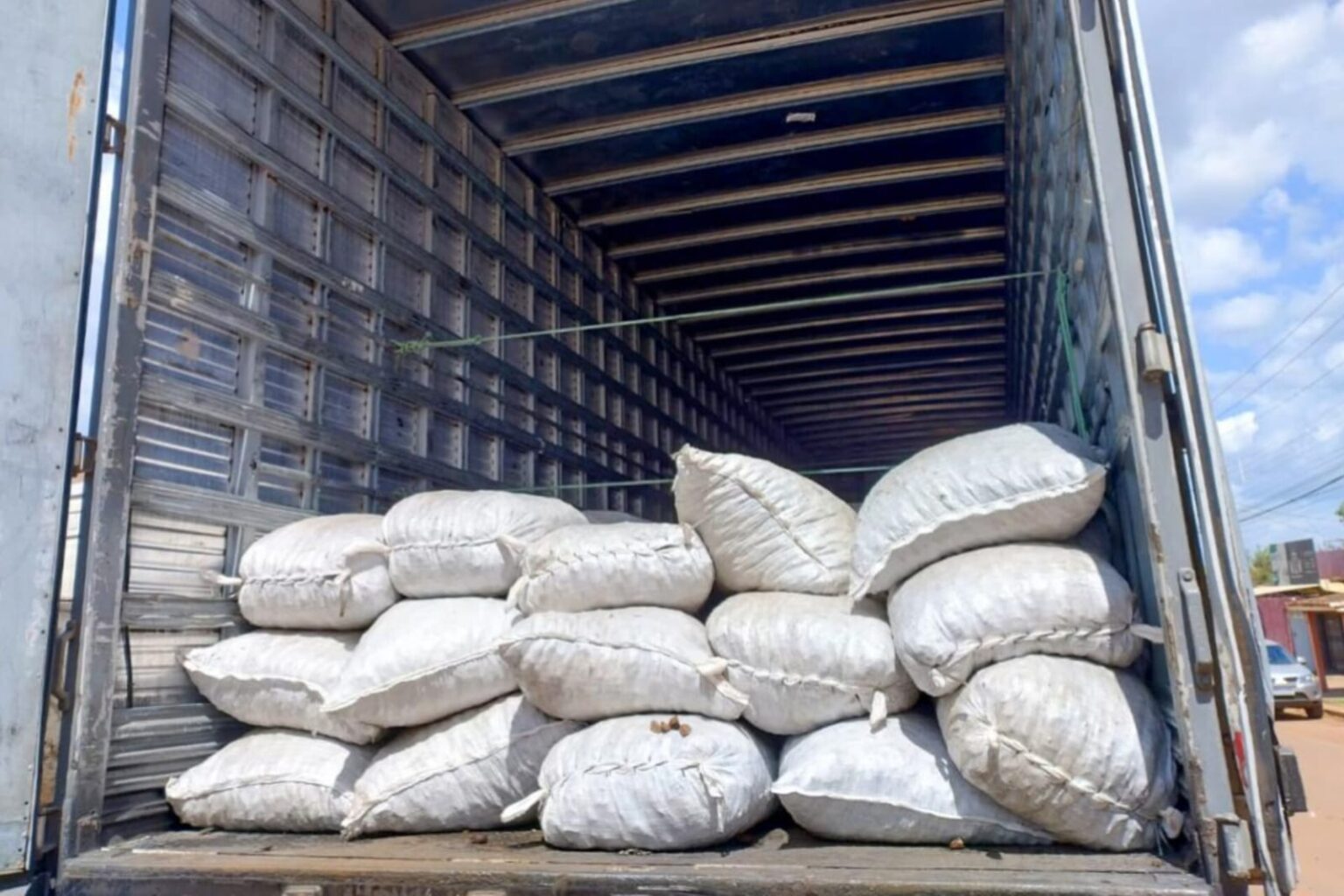 Sefa apreende 18 toneladas de castanhas do Pará em Dom Eliseu