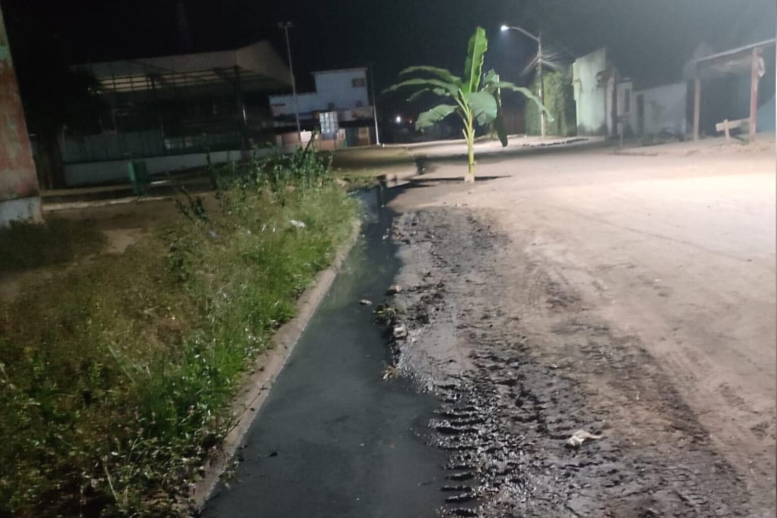 Bananeira plantada em protesto é removida pela Prefeitura de Itupiranga