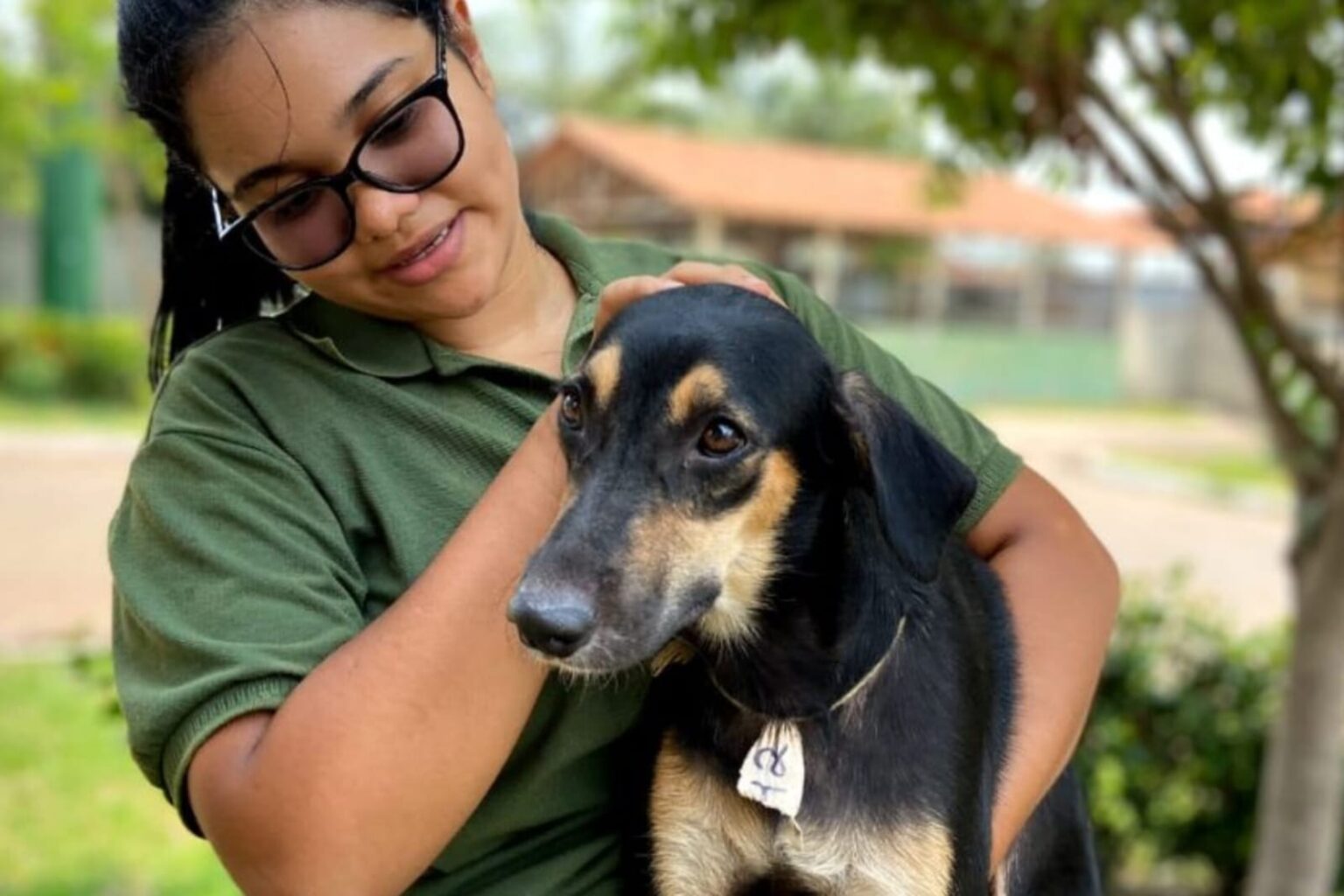 CCZ divulga agendamento para castração de cães e gatos em Marabá