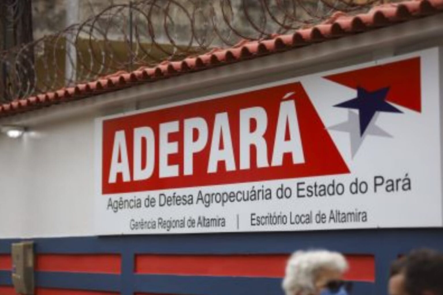 Adepará apreende 462 quilos de queijo clandestino em Ipixuna do Pará