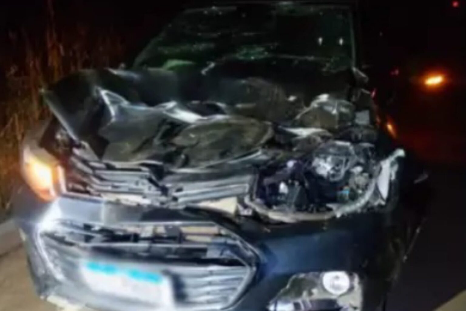 Cavalo morre atropelado por carro em Curionópolis