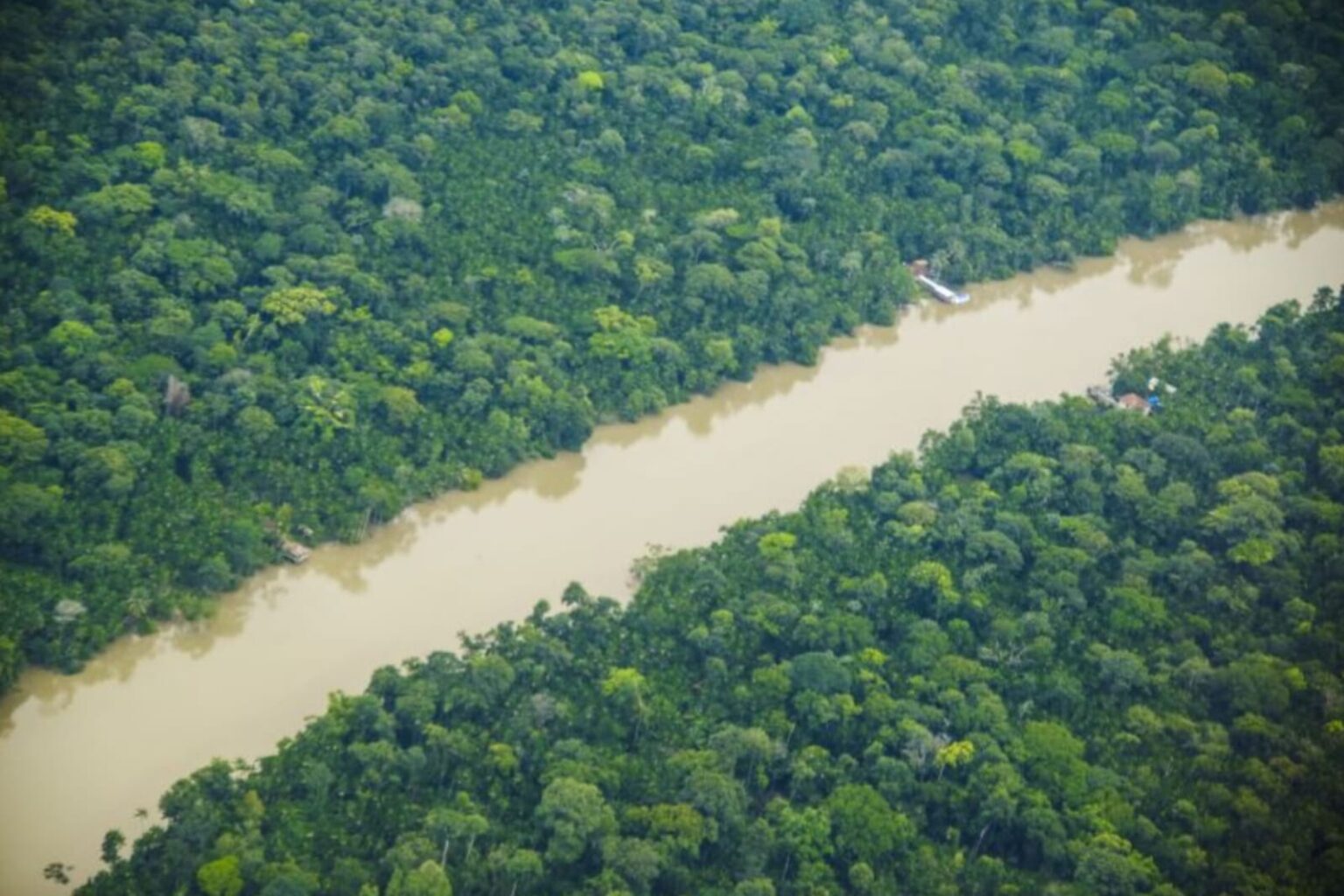 Pará tem redução de 38% nos alertas de desmatamento em junho de 2024, segundo o Inpe