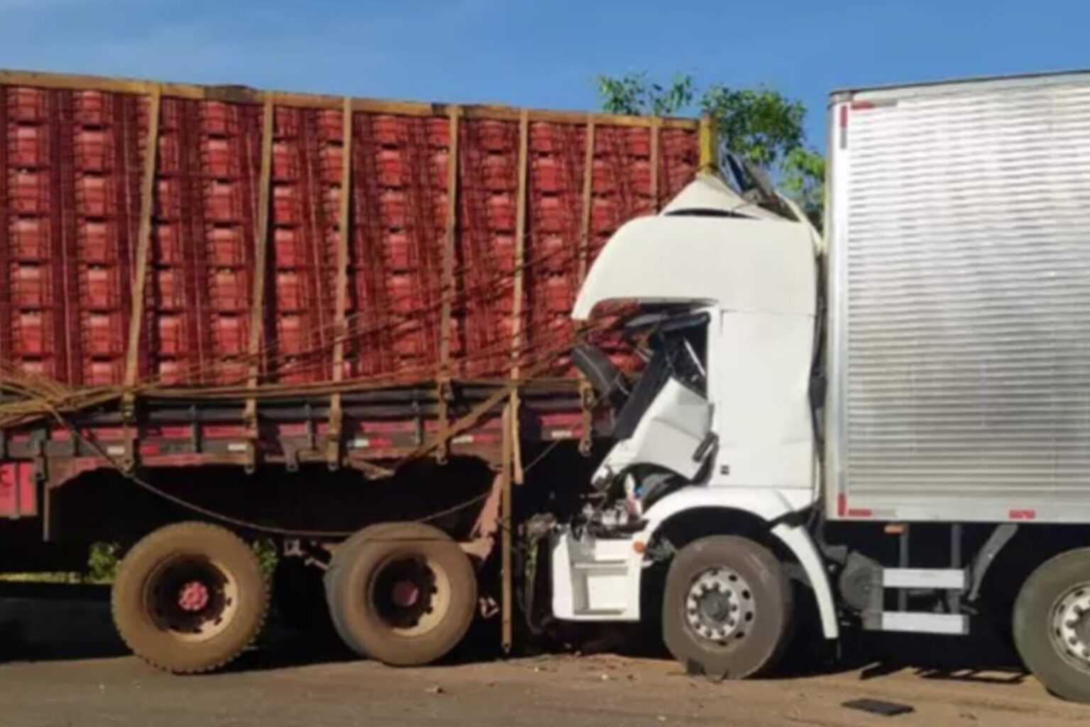Colisão entre caminhões e carro deixa 4 mortos em Ipixuna do Pará